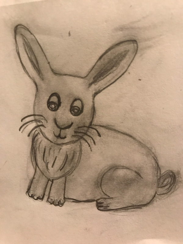 original pencil drawn bunny